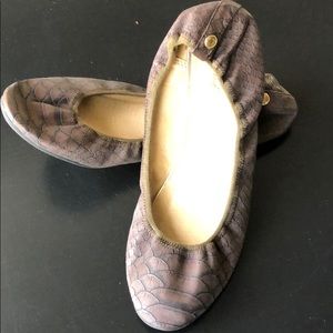 Wanted Lario brown/black ballet flats Sz 8.5